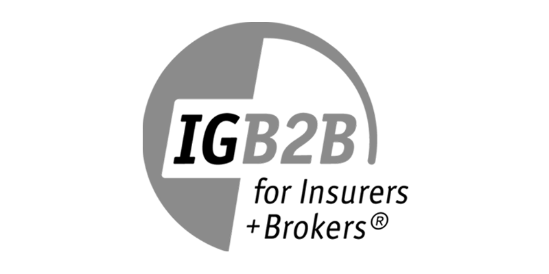 IG B2B